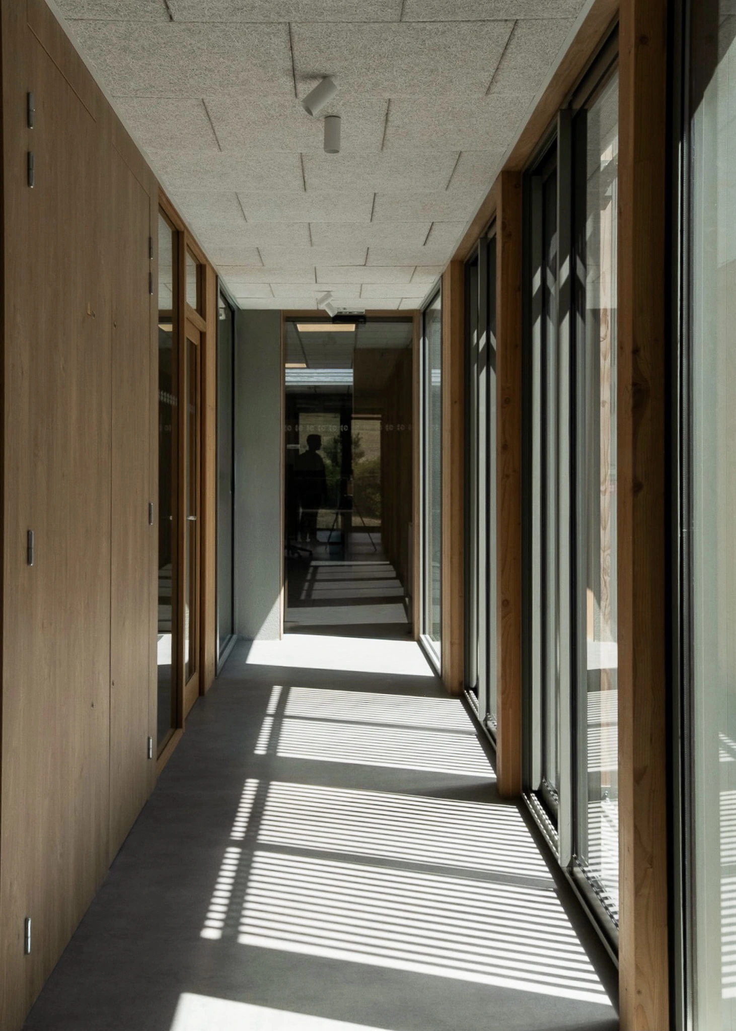 Couloir vitré du siège des Transports Galtier avec menuiseries en bois et jeux d'ombres des brise-soleil