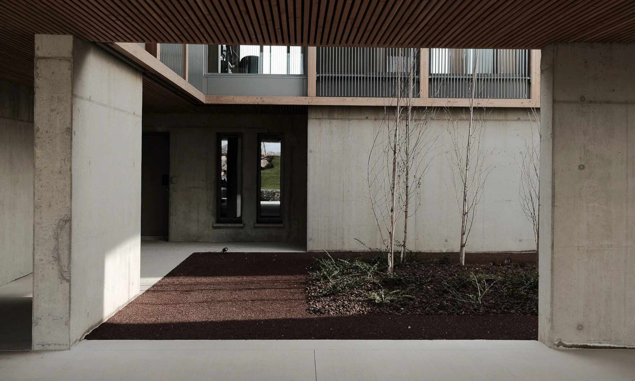 Patio paysager du siège des Transports Galtier entouré de murs en béton brut banché et de façades en bois