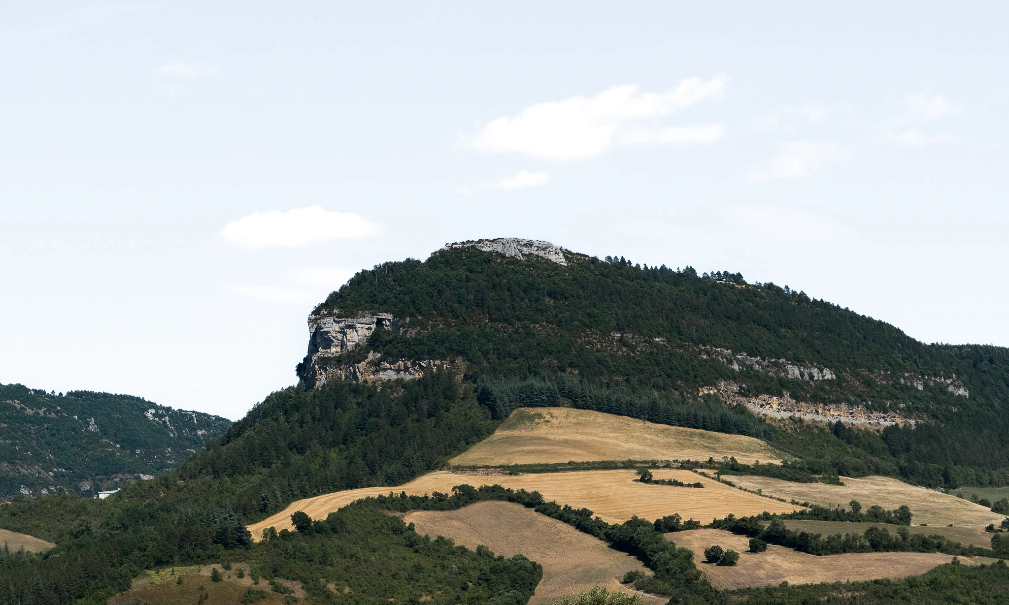 Paysage de reliefs boisés et de terres agricoles autour du siège des Transports Galtier à Roquefort-sur-Soulzon